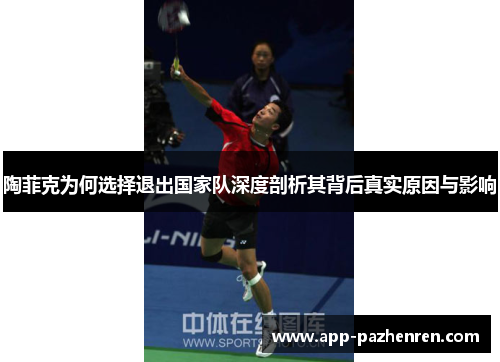 陶菲克为何选择退出国家队深度剖析其背后真实原因与影响