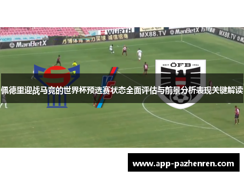 佩德里迎战马竞的世界杯预选赛状态全面评估与前景分析表现关键解读