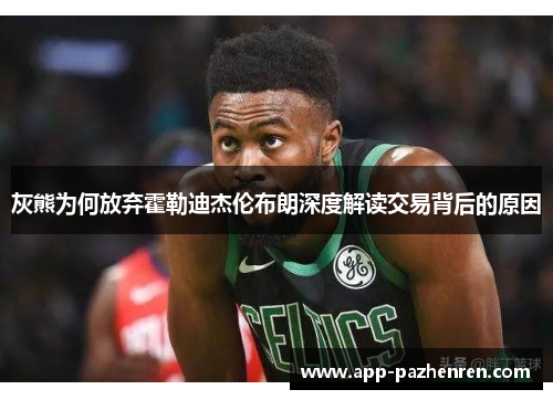 灰熊为何放弃霍勒迪杰伦布朗深度解读交易背后的原因